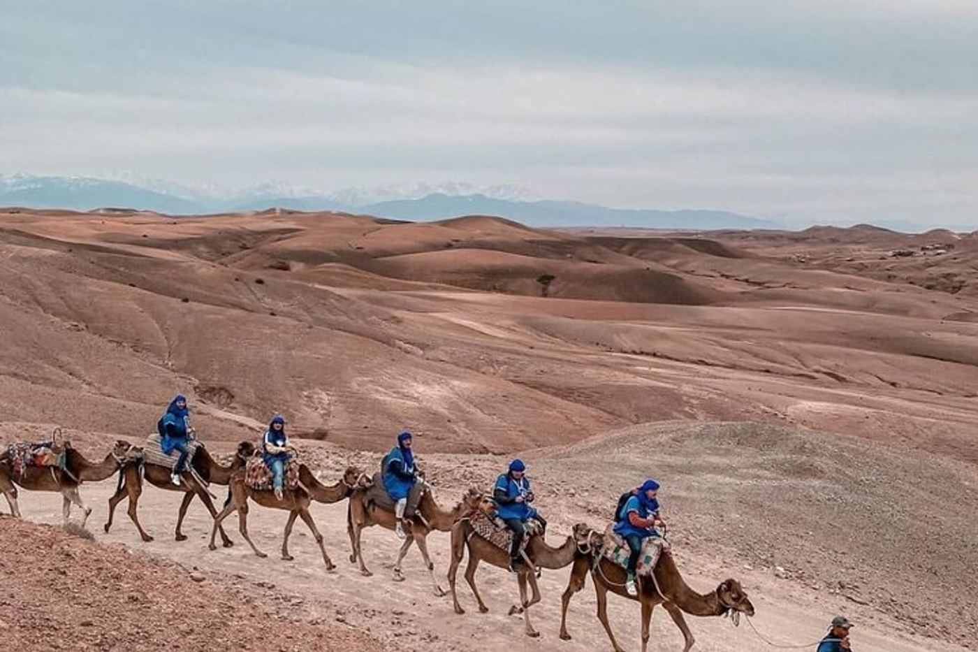 Caravana de camellos con vista a las montañas del Atlas