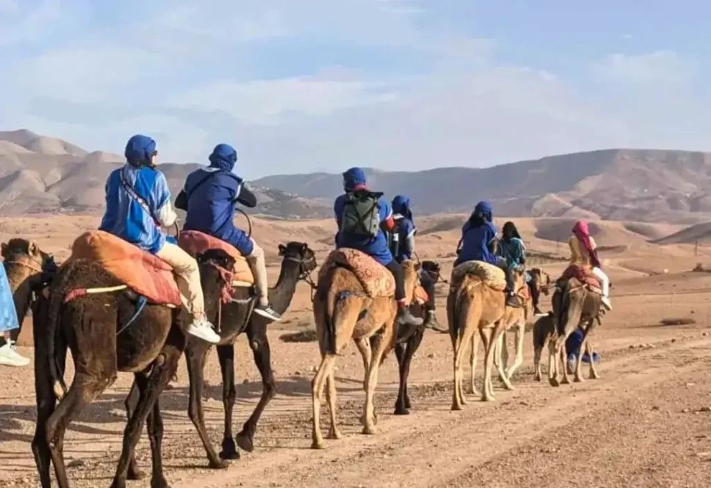 Caravana de camellos vista de espaldas, jinetes con turbantes azules