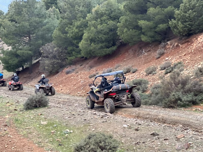 Quads y un buggy por un camino de tierra roja entre pinos