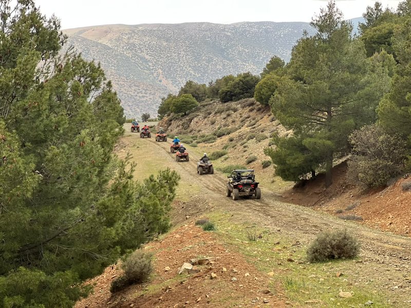 Convoy de quads y un buggy por una pista de montaña entre pinos