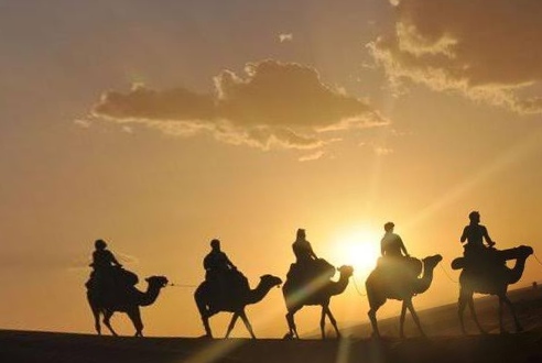 Camel caravan silhouette with the sun rising over Agafay