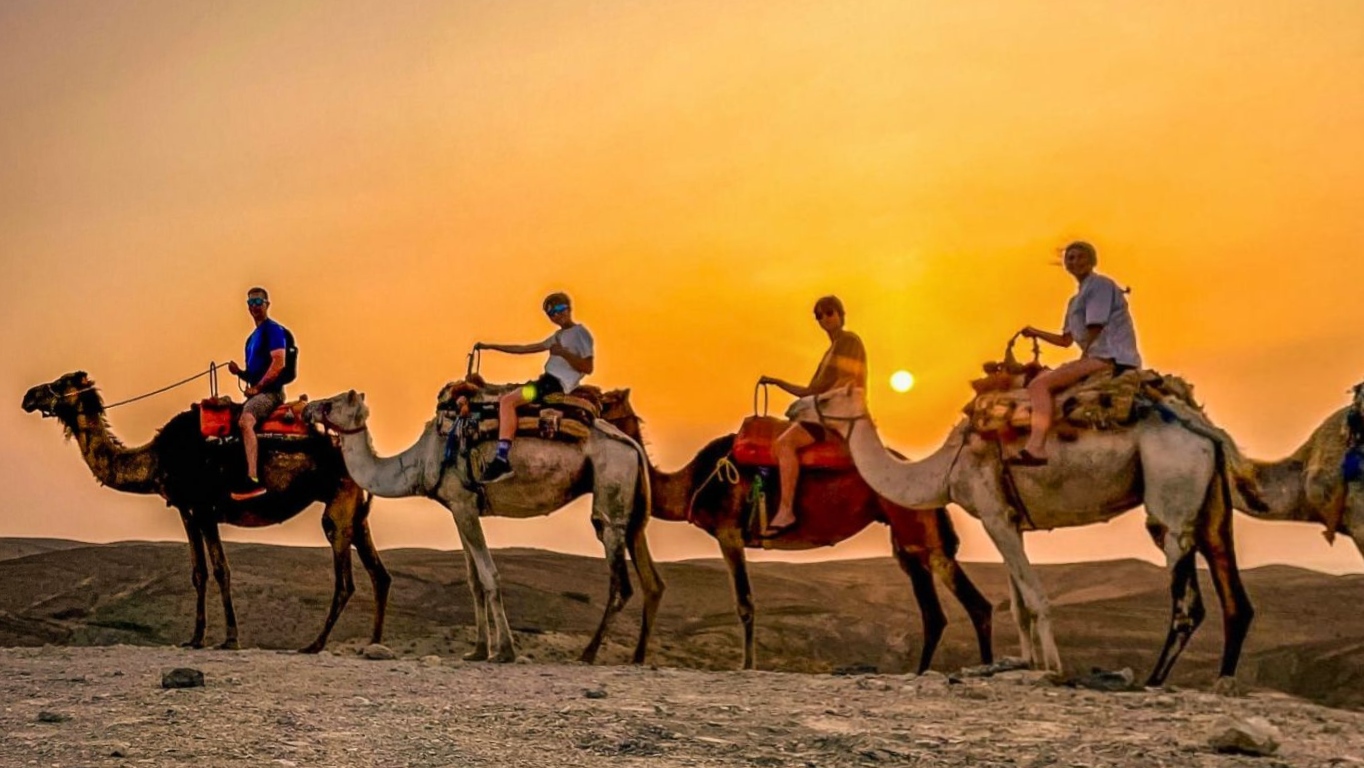Group camel ride under a golden morning sky in Agafay
