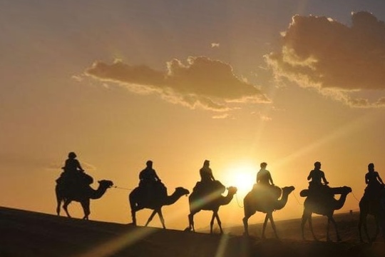 Line of camels and riders silhouetted at first light